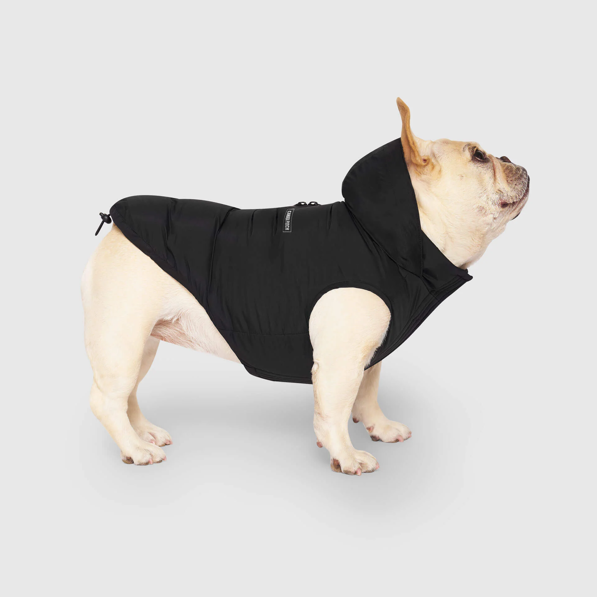 Best-Selling Dog Parkas & Jackets